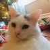 Lynda Sinclair - Facebook