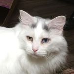 Lynda Sinclair - @grandmamoon1944 - Instagram