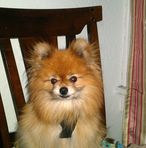 Lynda Meadows Spence - Facebook