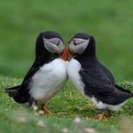Lynda Spence - @lynda.spence - Instagram