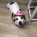 Lynda Stacks - Facebook