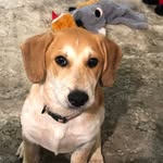 Lynda Stacks - @stackslynda - Instagram