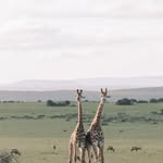 @lynd_astantonjfk2y - Instagram