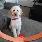Linda Steed - @linda.k.steed - Instagram
