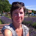 Linda Steed - @steedlindy - Instagram