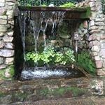 Linda Steed - @lindaburns5376 - Instagram