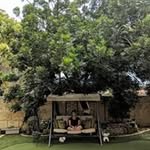Linda Stringer - @linda.stringer.984 - Instagram