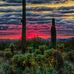 Lynda Sullivan - Facebook