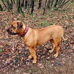 Lynda Sullivan - @lynda.sullivan84 - Instagram