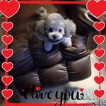 Lynda Sullivan - @lynda.sullivan.75 - Instagram
