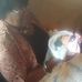 Linda Temple - Facebook
