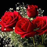 Lynda Townsend - @lynda.townsend.56 - Instagram