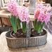 Lynda Townsend Bateson Antiques - Facebook