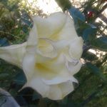 Linda Tyner - @lindagaityner - Instagram