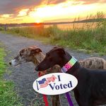 Lynda Weinstein - @lyndaweinstein - Instagram