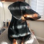 Lynda Wright - @lyndawright21 - Instagram