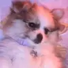 Compilation - @sister4life004 - TikTok