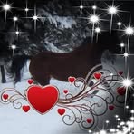 Lynda Loewen - Facebook