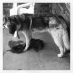 Lyndon Miller - @lyndon_miller48 - Instagram