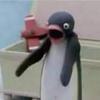 Patrick Lyndon - @patrick.lyndon - TikTok