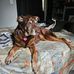 Glyndon Scott - Facebook