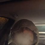 Lyndon ward - @c.r.e.a.m_l.p - Instagram