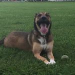 Lyndsey bayles - @lyndsey_ryan_bayles - Instagram