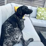 Lyndsey Simpson - @lyndsey_simpson78 - Instagram