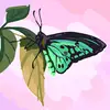 Lyndsey Wright - @lyndsey.wright00 - TikTok