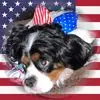 lynelldianegreend - @lynell.diane.gree - TikTok