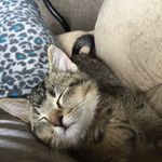 Lynell Johnson - @lynell1122 - Instagram