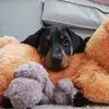 Lynette Bailey - @lynette.bailey67 - TikTok