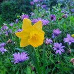 Lynette Barker - @lynettebarker331 - Instagram