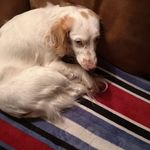 Lynette Bishop - @lynette.bishop.3762 - Instagram