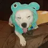 Lynette Bishop - @lynette.bishop3 - TikTok