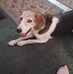 Lynette Wilson Bishop - Facebook