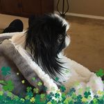 Lynette Blackwell - @lynette.blackwell.52 - Instagram