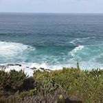 Lynette Bosch - @lynette_bosch - Instagram