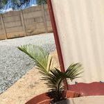 Lynette Bosch - @lynette.bosch.37604 - Instagram