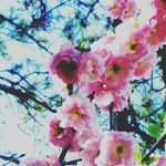 Lynette Boyd - @skatingmom.lb - Instagram
