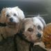 Lynette Brock - Facebook