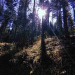 Lynette Burger - @burger2831 - Instagram