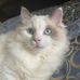 Lynette Caldwell - Facebook