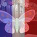Lynette Carmichael - Facebook