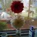 Lynette Carter - Facebook