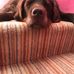Lynette Carter - Facebook