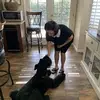 Lynette Castro - @lynette.castro1 - TikTok