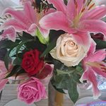 Lynette Cherry - @lynnjayne2023 - Instagram