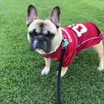 Lynette Hardy Coker - @lcoker828 - Instagram