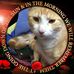 Lynette Connell - Facebook